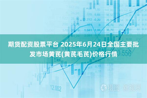 期货配资股票平台 2025年6月24日全国主要批发市场黄芪(黄芪毛芪)价格行情