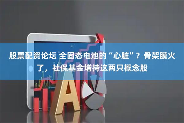 股票配资论坛 全固态电池的“心脏”？骨架膜火了，社保基金增持这两只概念股